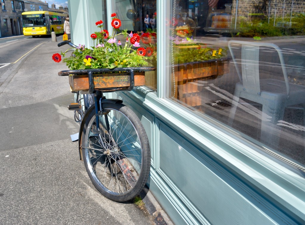 Same bike, different view by mambo