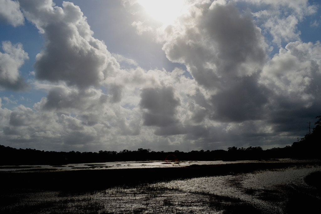 Marsh and clouds by congaree
