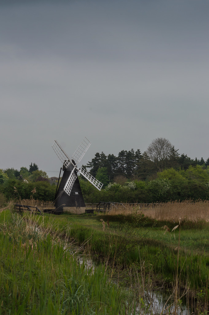 Wicken Fen Windmill by jon_lip