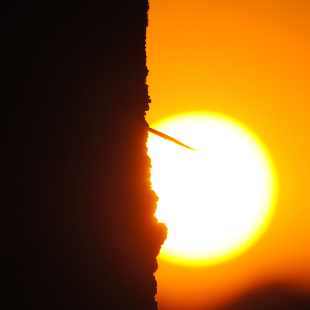Sunset Behind the Locust Tree by genealogygenie