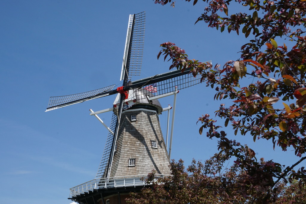 Windmill by amyk