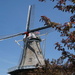 Windmill by amyk