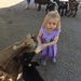 Goat feeding time by mdoelger