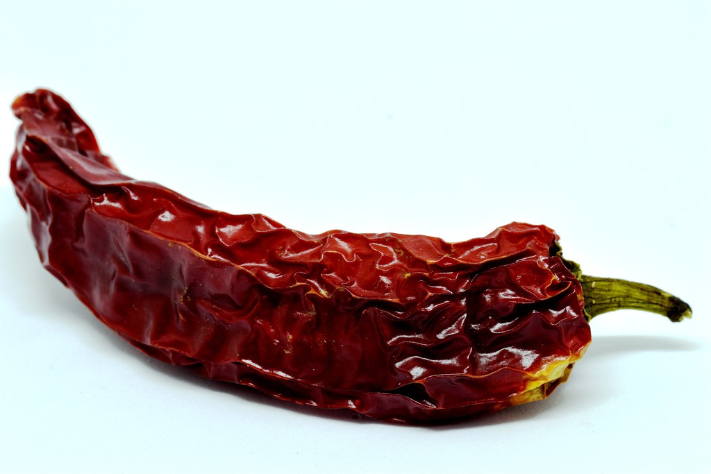 dried chilli by christophercox
