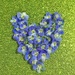 Forget-me-not heart.  by cocobella