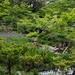 Nezu Museum Garden by jyokota