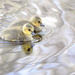 Two little goslings! by fayefaye