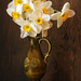 Daffy for Daffodils by farmreporter
