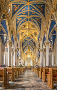 9th May 2017 - Notre Dame Basilica