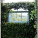 Hedge Window by loey5150