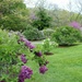 Along the Lilac Path at the Arboretum by deborahsimmerman