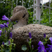 PLAY May - Sony 16mm f/2.8: Garden Duck by vignouse