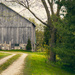 Grandpa's barn by tracymeurs