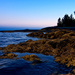 Maine Coast by dianen