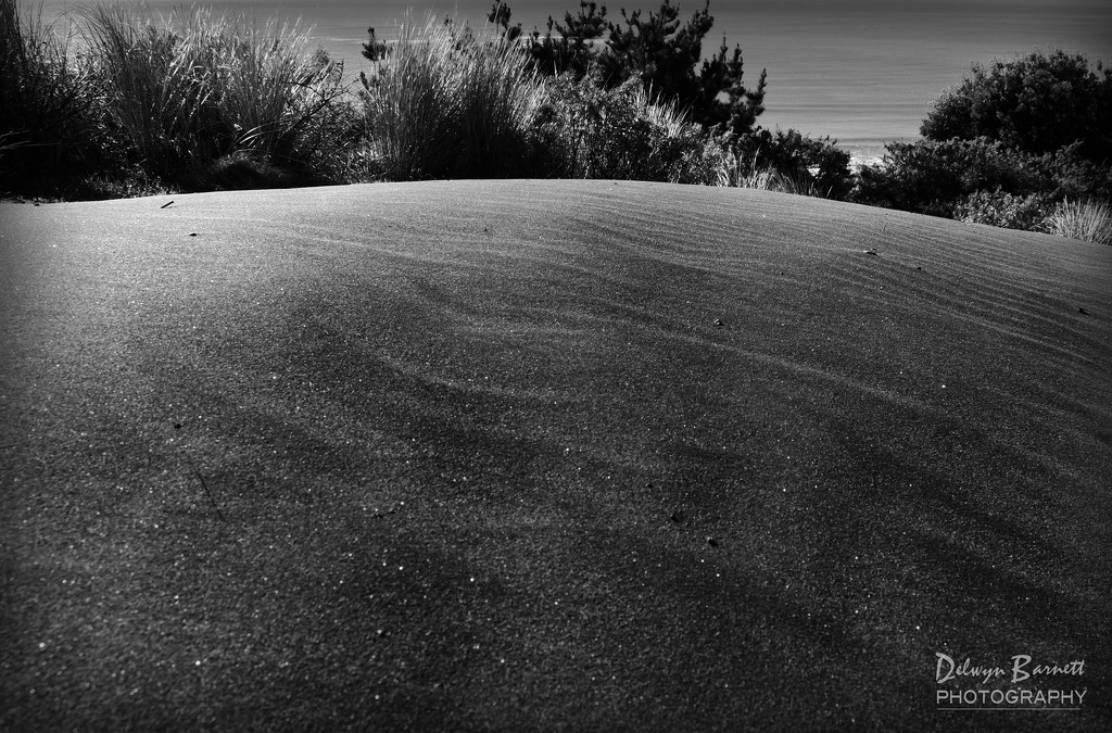 Sand dune  by dkbarnett