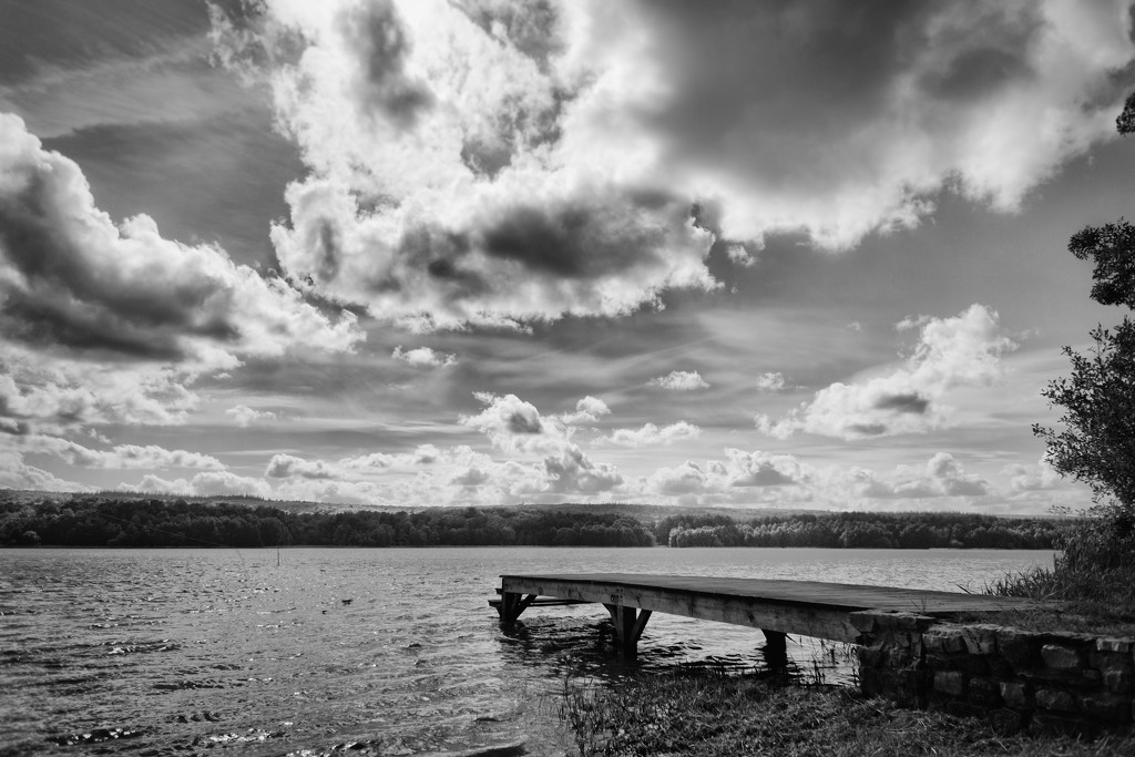 PLAY May - Sony 16mm f/2.8: Paimpont Lake by vignouse