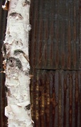 13th May 2017 - Wood and Rust 
