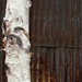 Wood and Rust  by radiogirl
