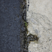 11th May 2017 - halfandhalf: asphalt/concrete-small