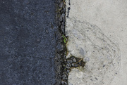 11th May 2017 - halfandhalf: asphalt/concrete-big