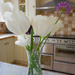 Tulips in kitchen by jon_lip