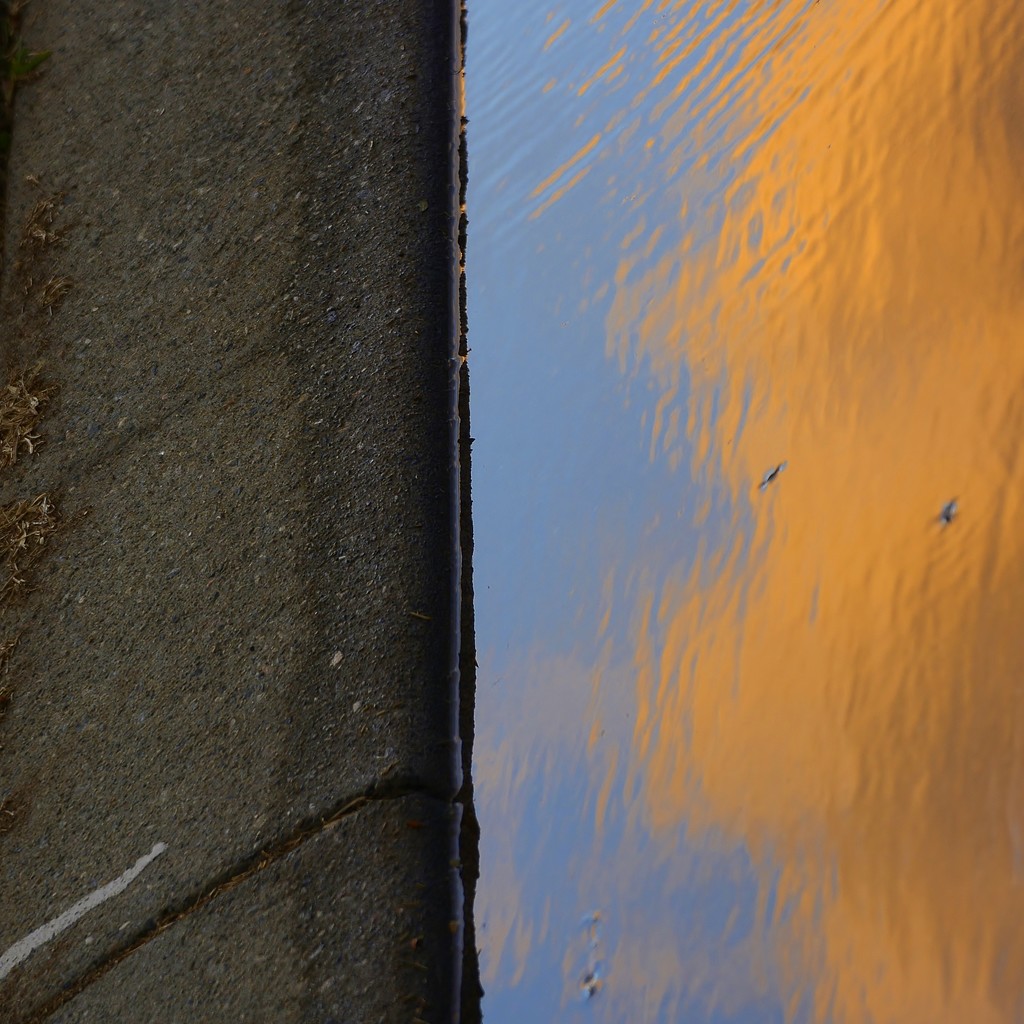 Sunset In A Puddle_DSC0497 by merrelyn