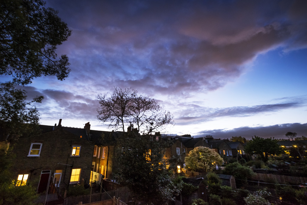 Day 116, Year 5 - Barnes Back Yard 2   by stevecameras