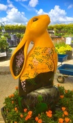 14th May 2017 - Giant hare 
