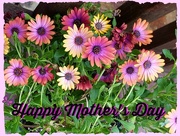 14th May 2017 - Mother's Day 
