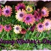 Mother's Day  by jo38