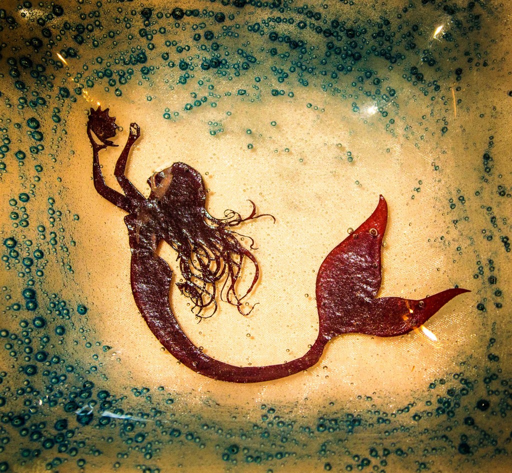 Mermaid set in glass by swillinbillyflynn