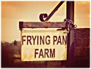 14th May 2017 - Frying Pan Farm