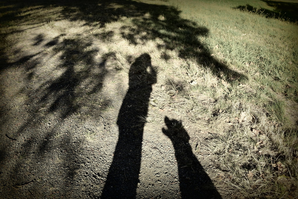 Me and My Shadow by nickspicsnz