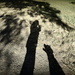 Me and My Shadow by nickspicsnz