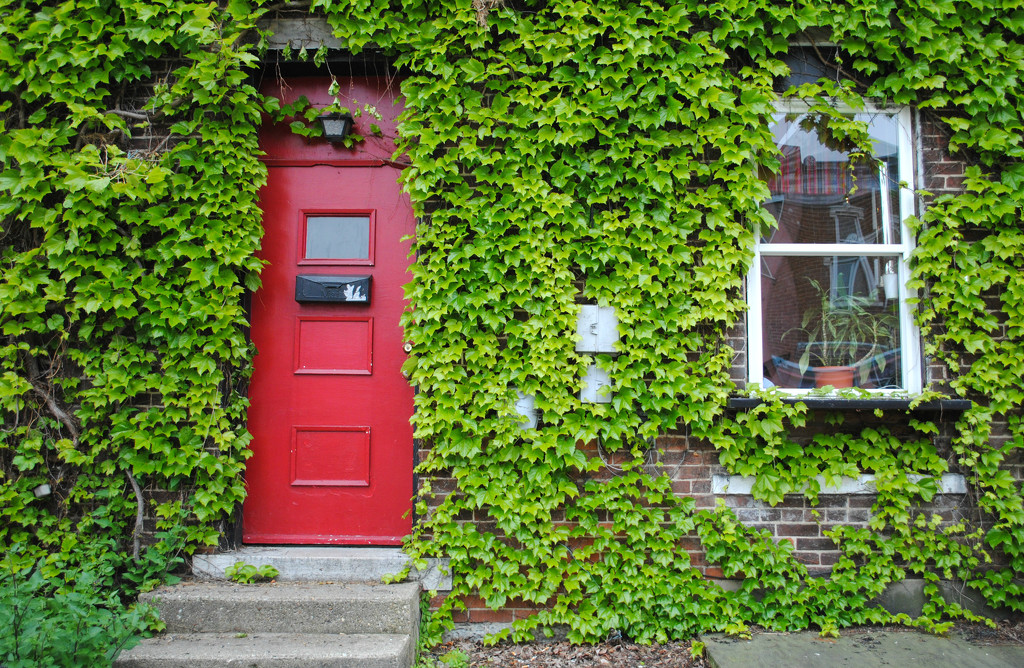 The Red Door by alophoto