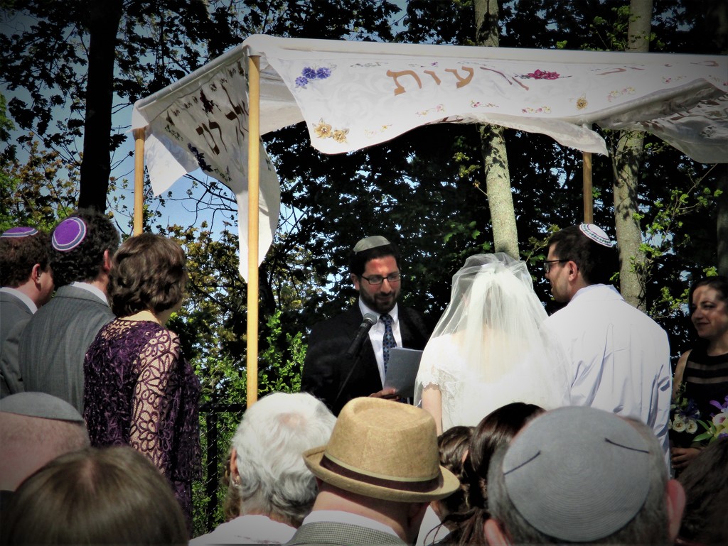 Under the Wedding Canopy by granagringa