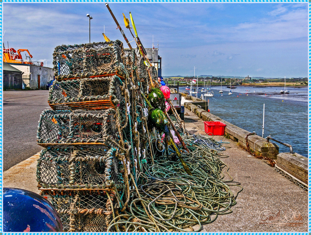 Lobster Pots,Amble Harbour by carolmw