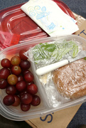 14th Jun 2016 - Packed Lunch