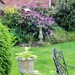 A peep at the back garden  by beryl