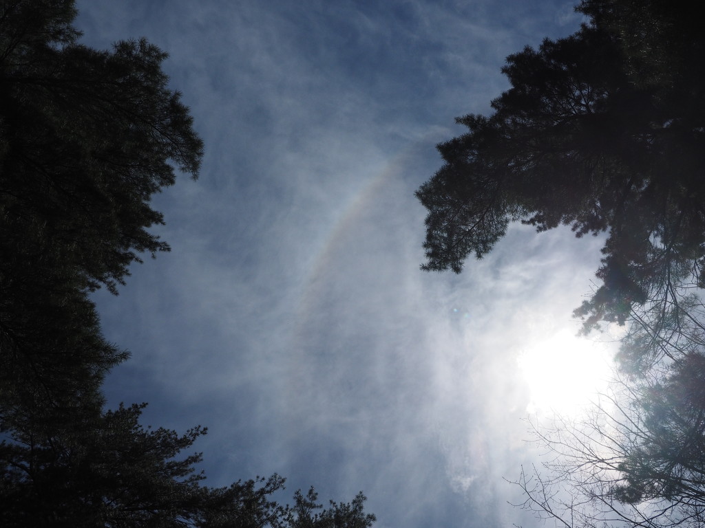 Sun Halo by selkie