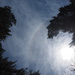 Sun Halo by selkie