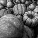 Gourds and Apples (Black and White) by olivetreeann