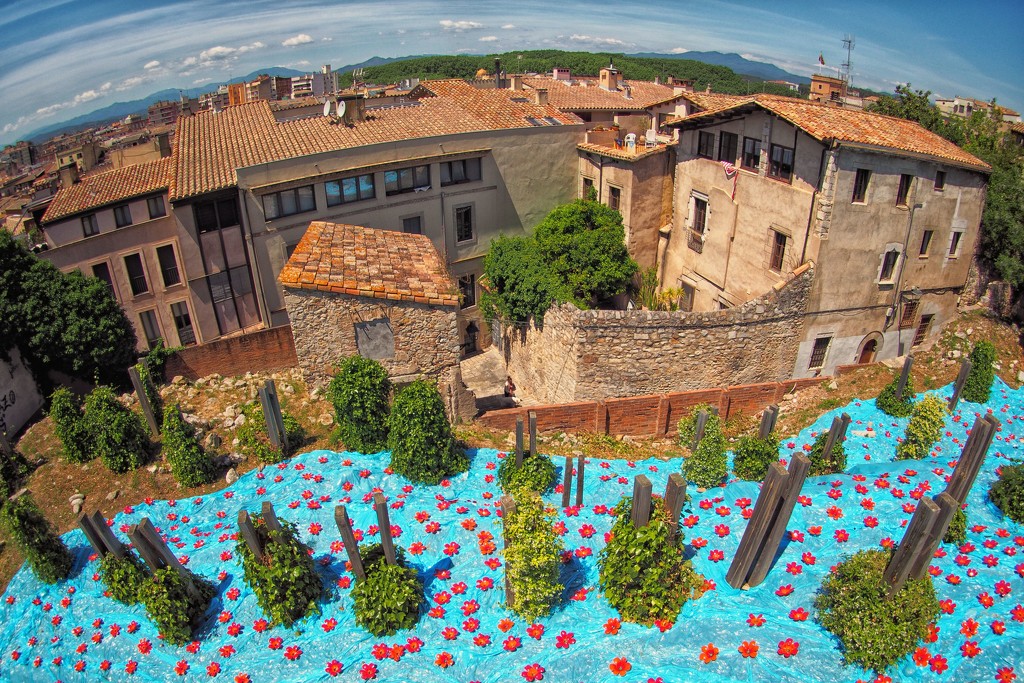Temps De Flors, Girona by laroque