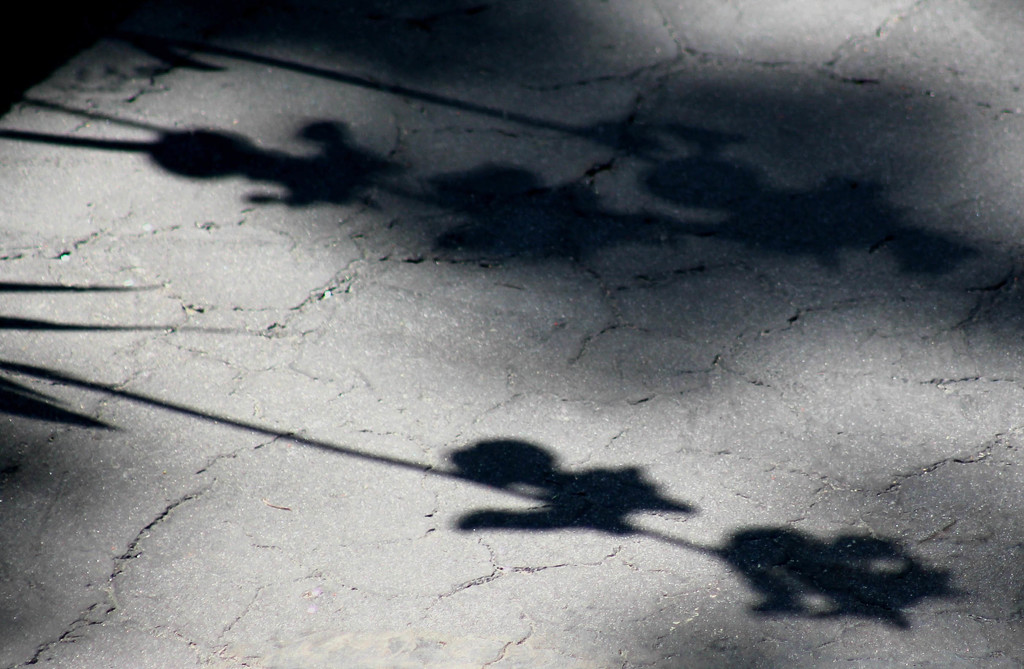 Shadows on the driveway by mittens