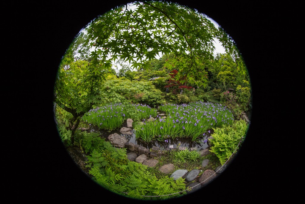 Nezu Garden in the Round by jyokota