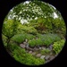 Nezu Garden in the Round by jyokota