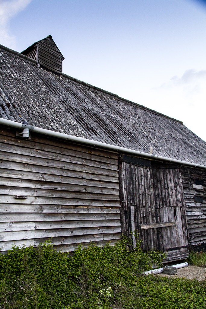 The Dilapidated Shed of Sewardstone by browngirl