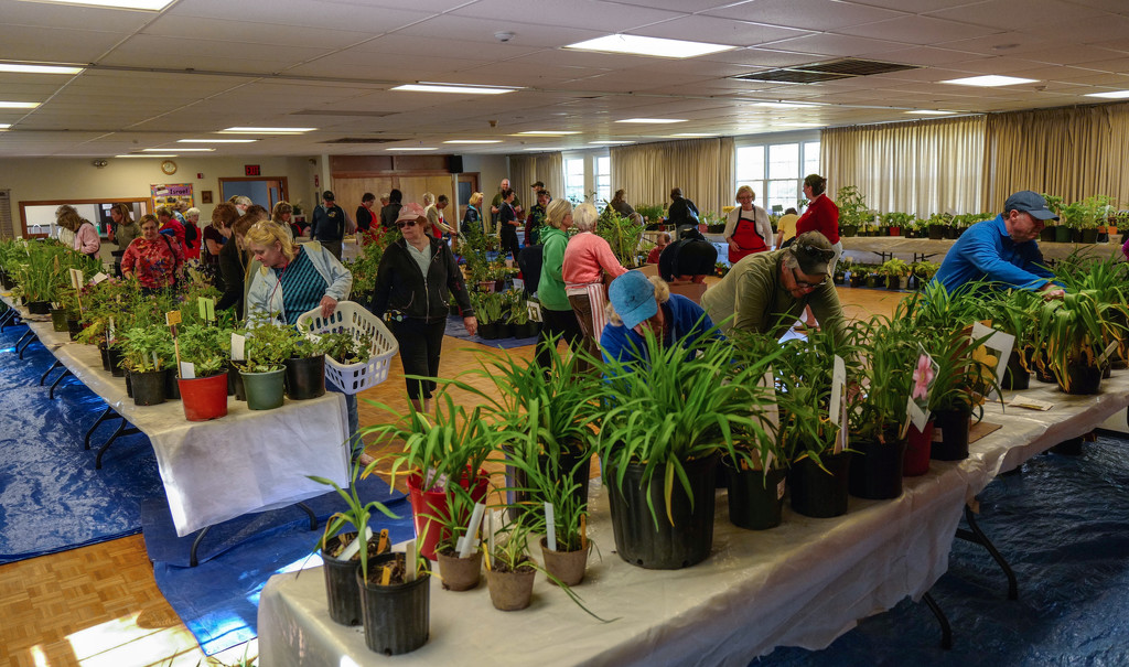 Hanover Garden Club Plant sale by berelaxed