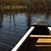 First morning out on the canoe this year! by radiogirl