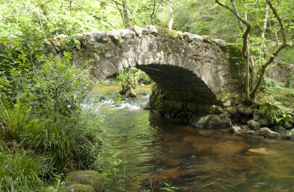 Hisley Bridge - Dartmoor, Devon by sjc88